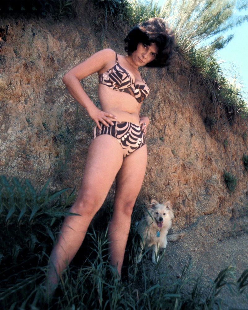 Adrienne Barbeau Nago. Zdjęcia - 12
